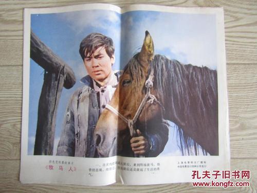 德累斯顿国际大学Diploma
